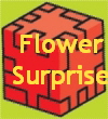 Flower
Surprise