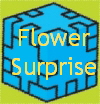 Flower
Surprise